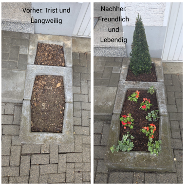 Beetbepflanzung